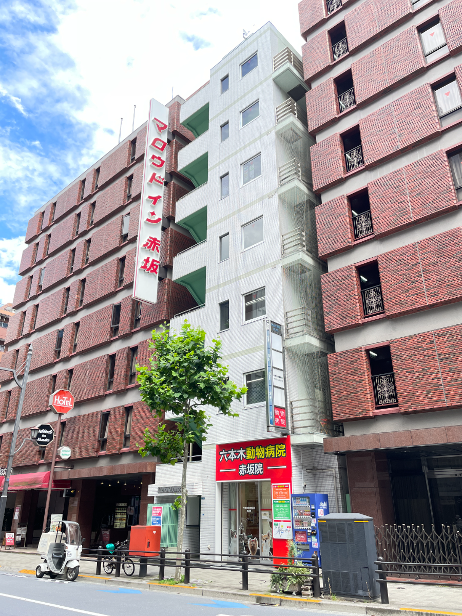 fresh/building/J00100375019_7