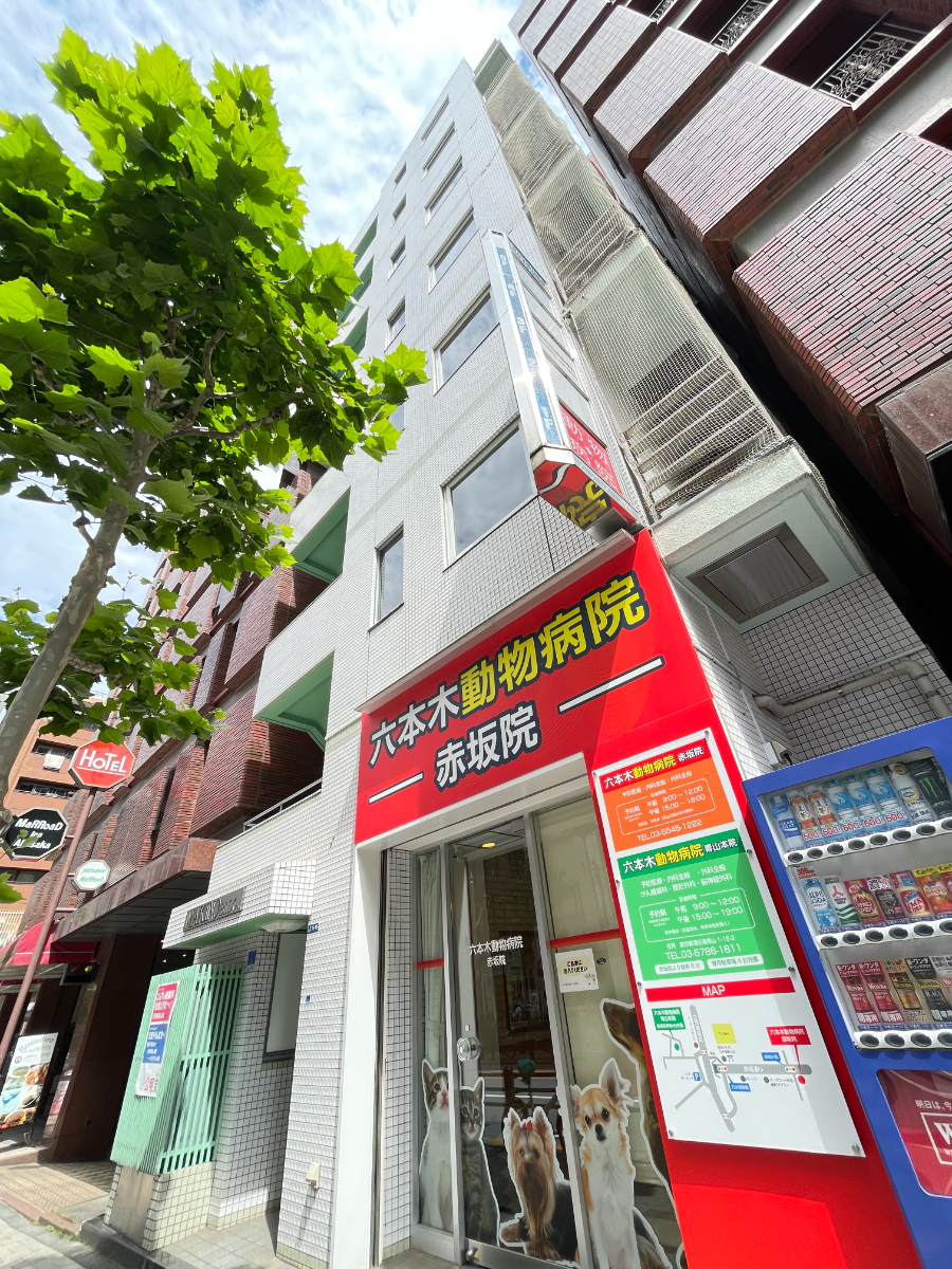 fresh/building/J00100375019_8