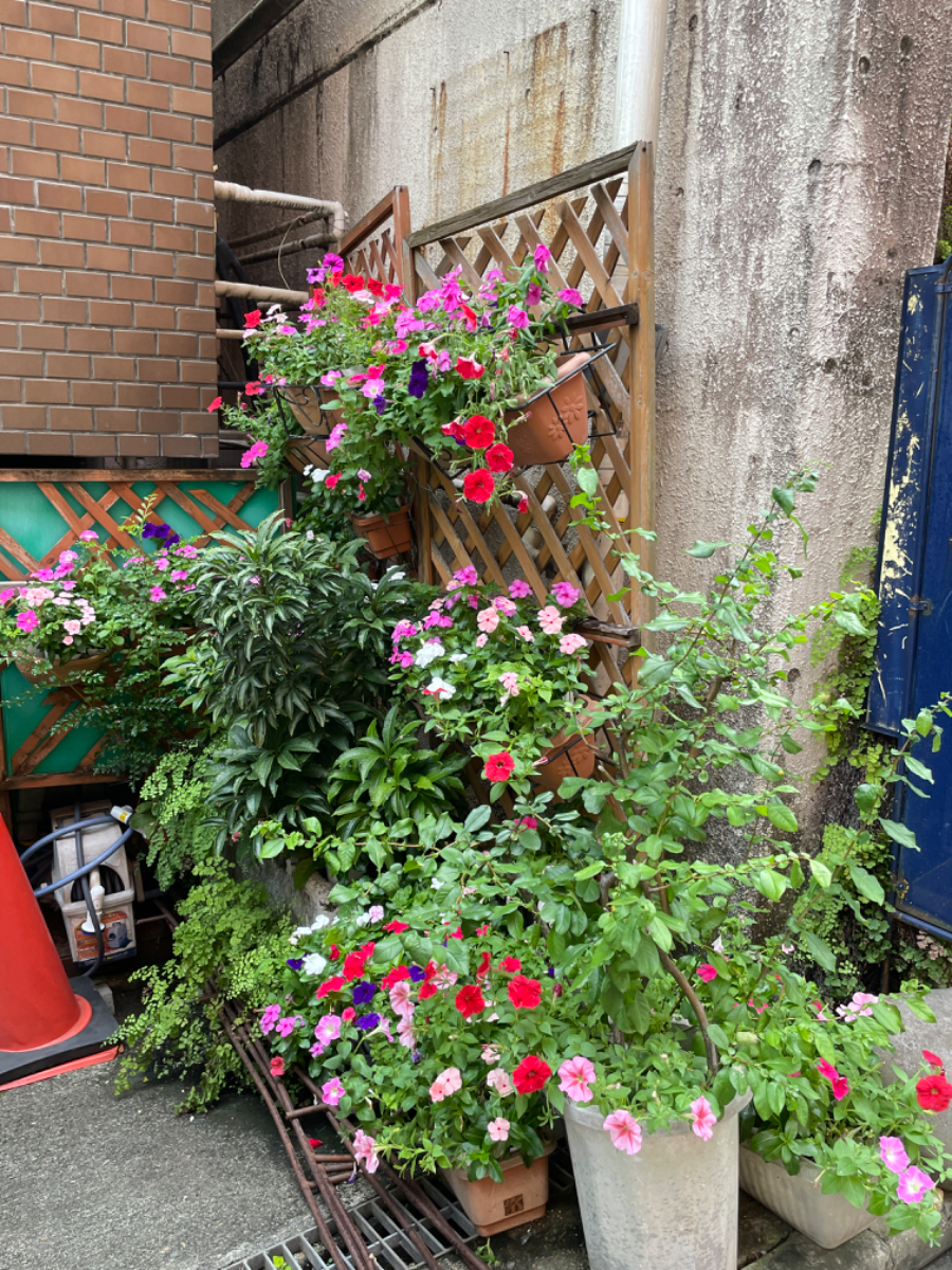 fresh/building/J00100375023_10