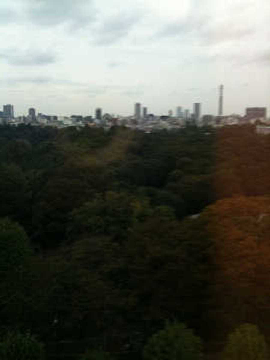 fresh/building/J00100375037_16