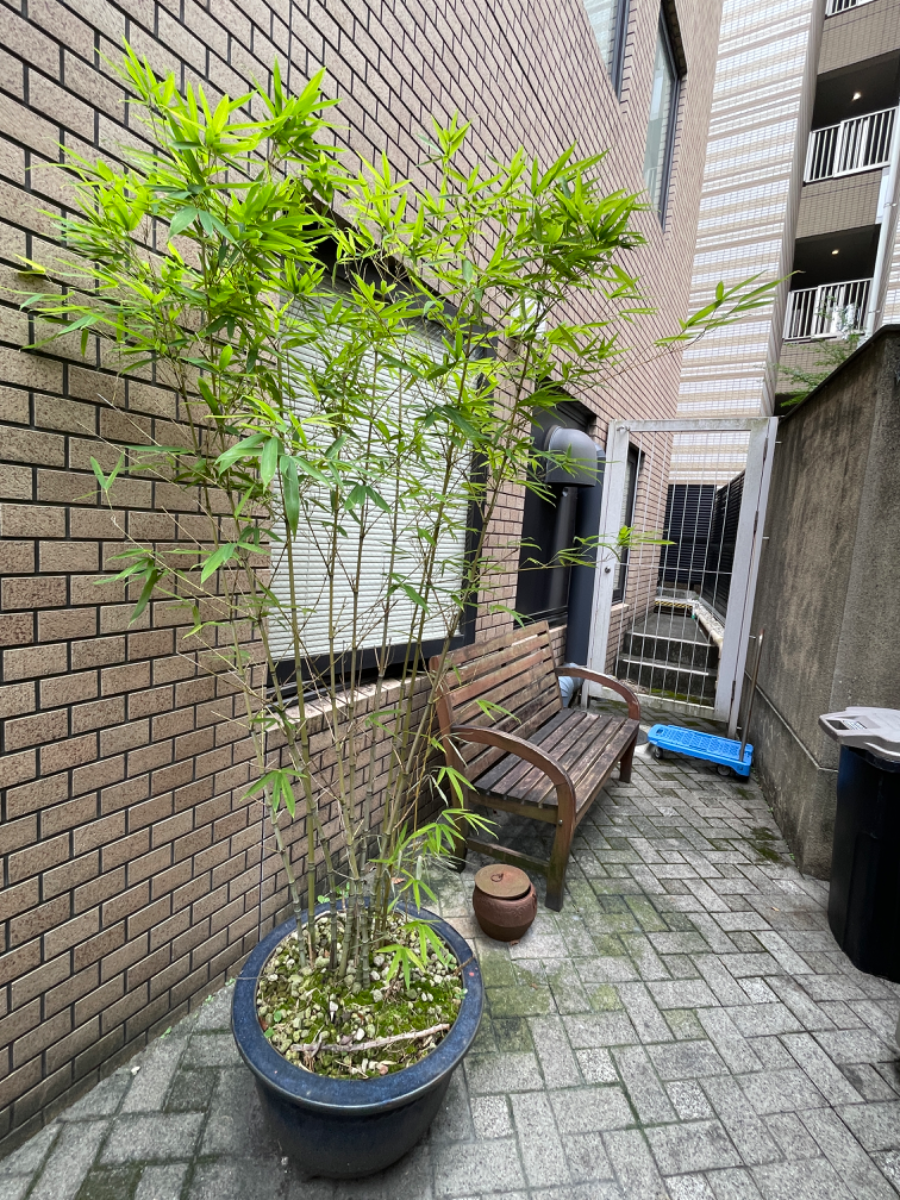 fresh/building/J00100375053_12