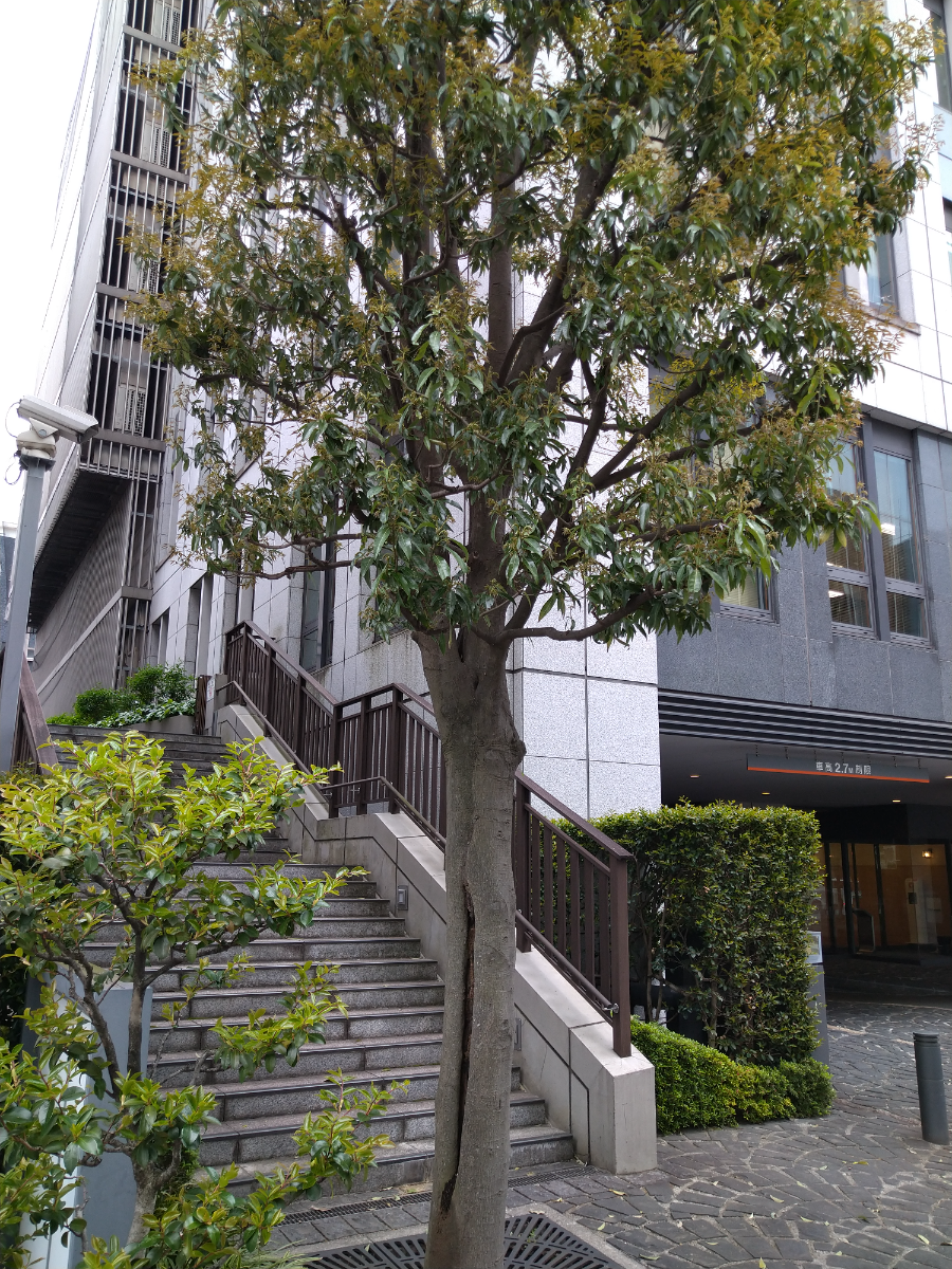 fresh/building/J00100375125_6