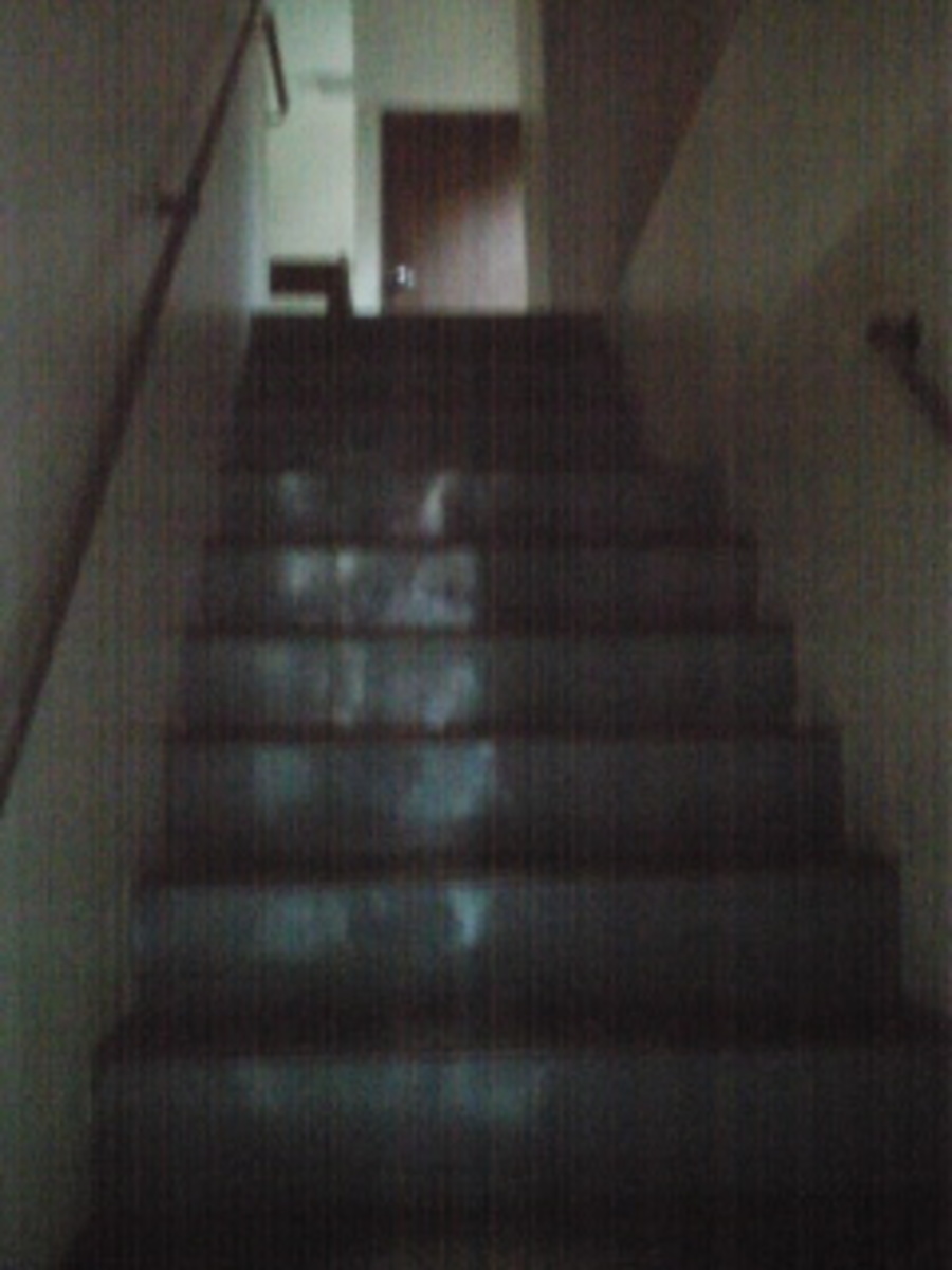 fresh/building/J00100375219_4