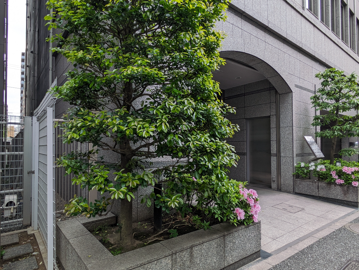 fresh/building/J00100375545_11