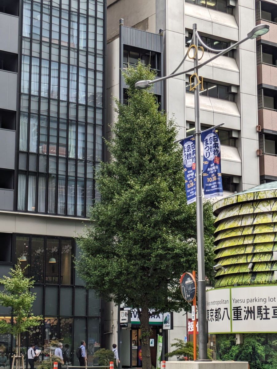 fresh/building/J00100376535_6