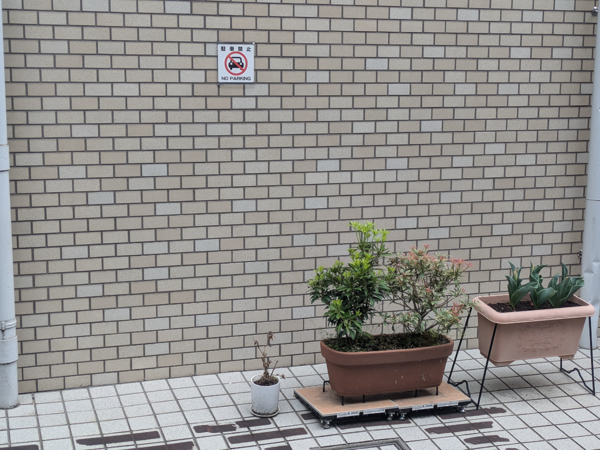fresh/building/J00100376562_10