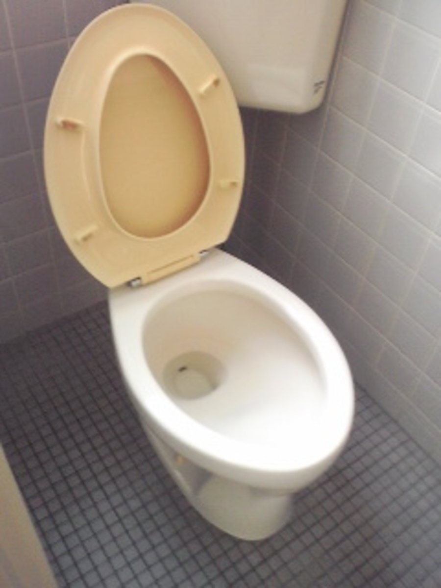 fresh/building/J00100376567_7