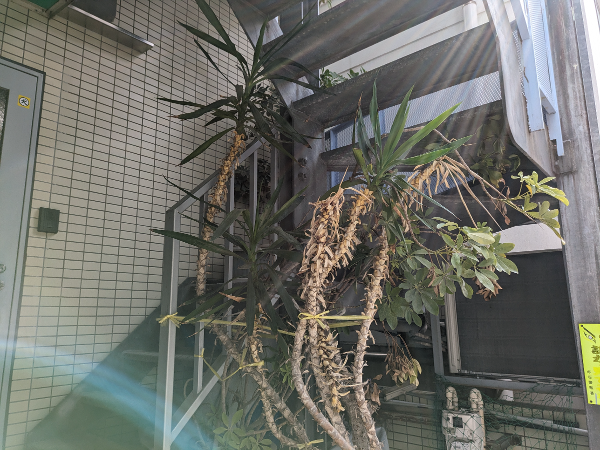 fresh/building/J00100377144_6