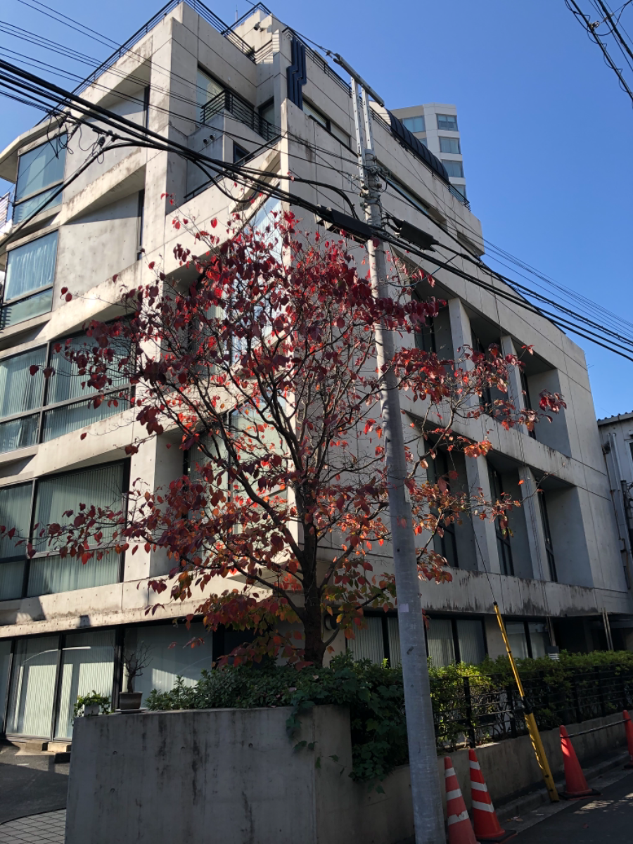 fresh/building/J00100377316_6