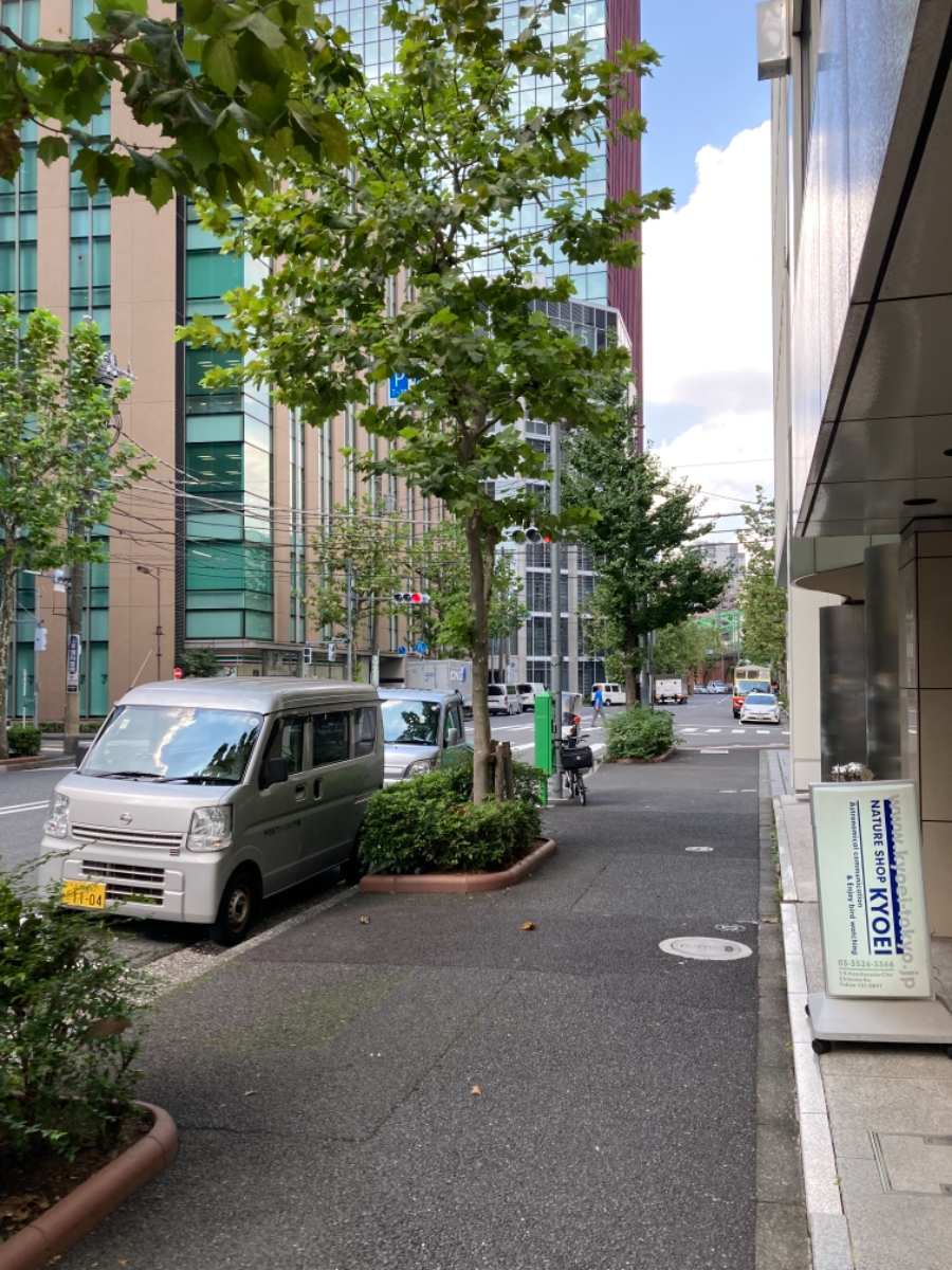 fresh/building/J00100377601_2