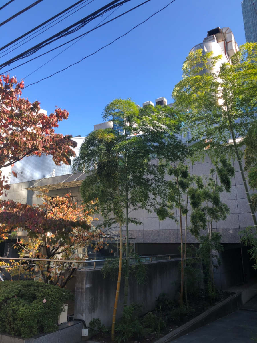 fresh/building/J00100377602_6