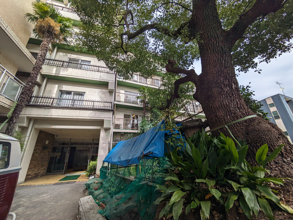 fresh/building/J00100377801_6