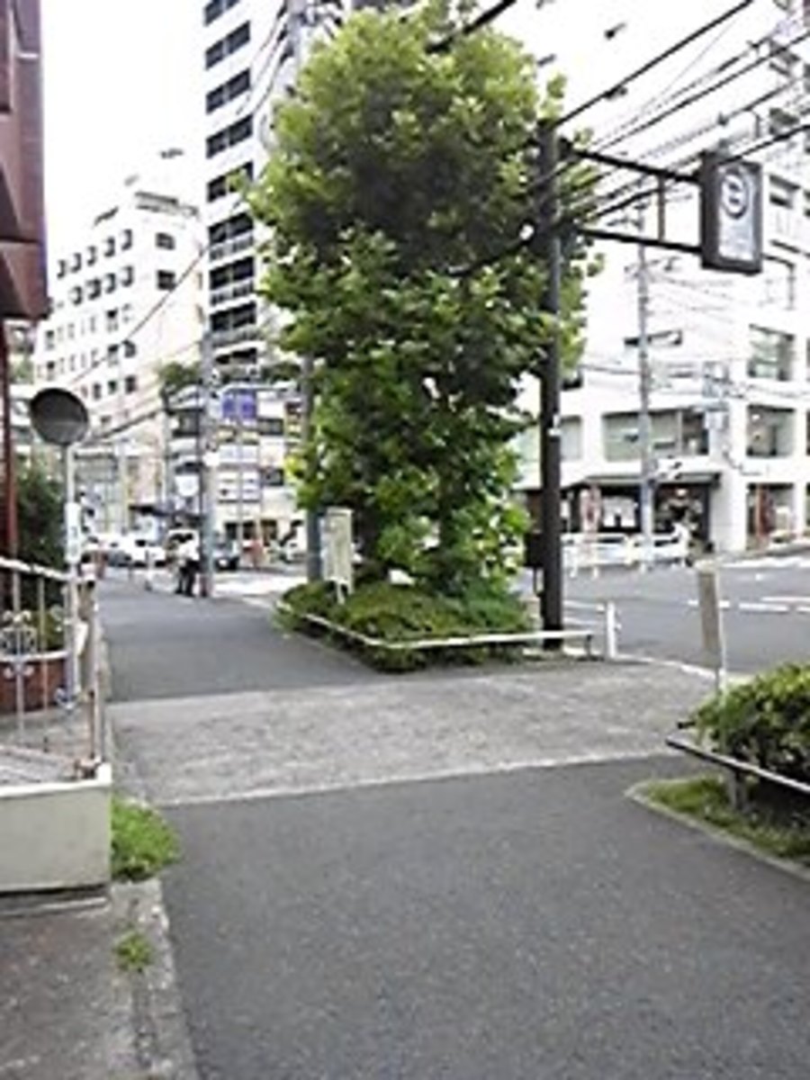 fresh/building/J00100377804_2