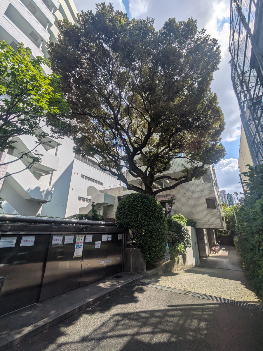 fresh/building/J00100378011_7