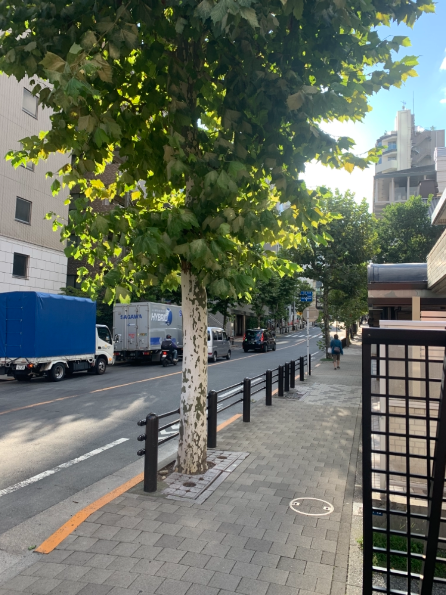fresh/building/J00100378197_2