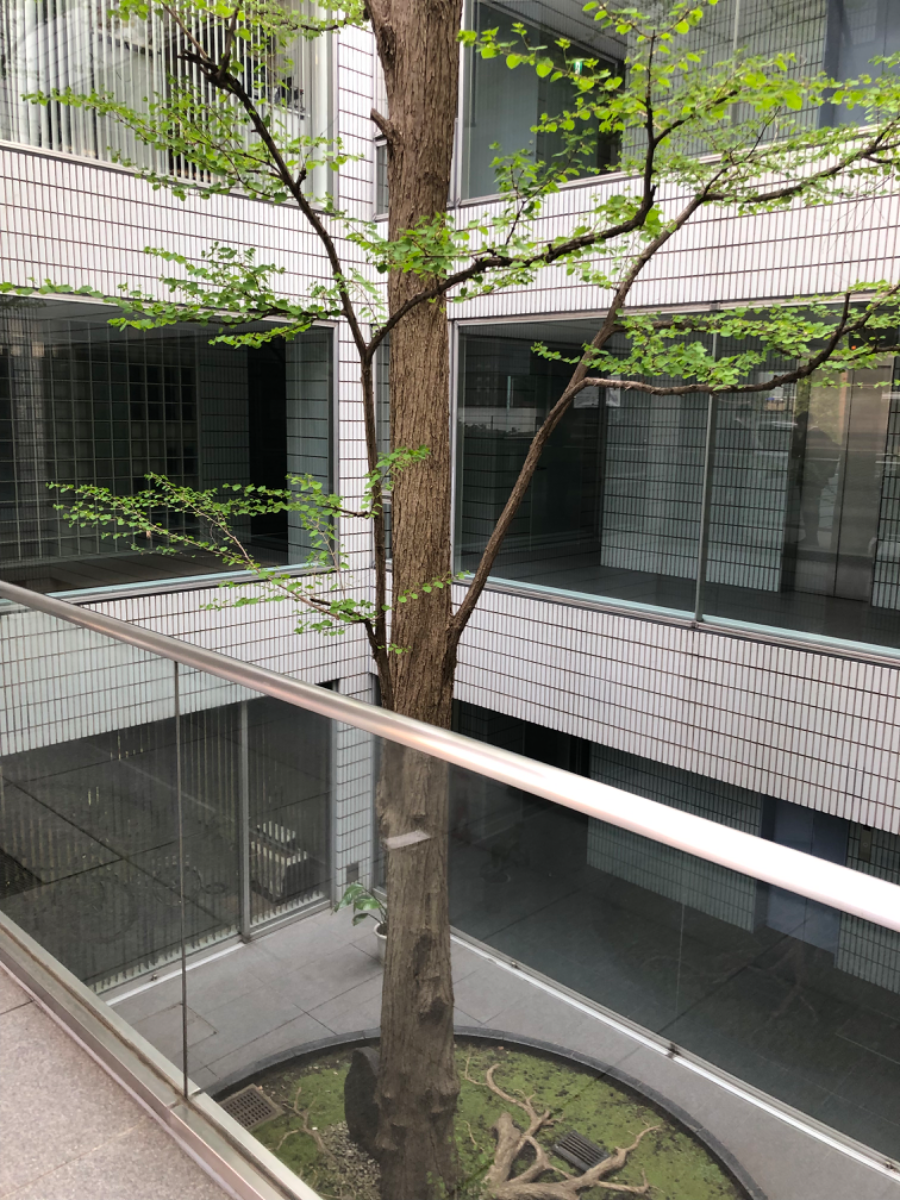 fresh/building/J00100378412_6