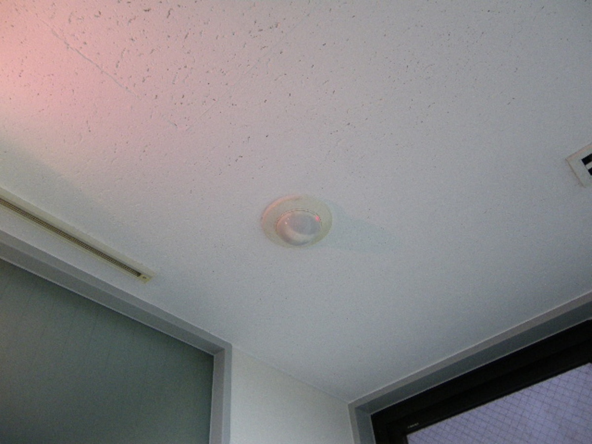 fresh/building/J00100378526_13