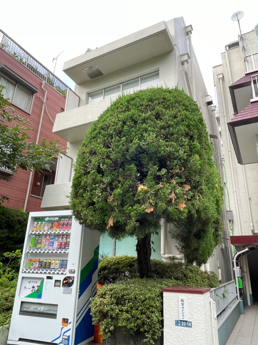 fresh/building/J00100378902_15