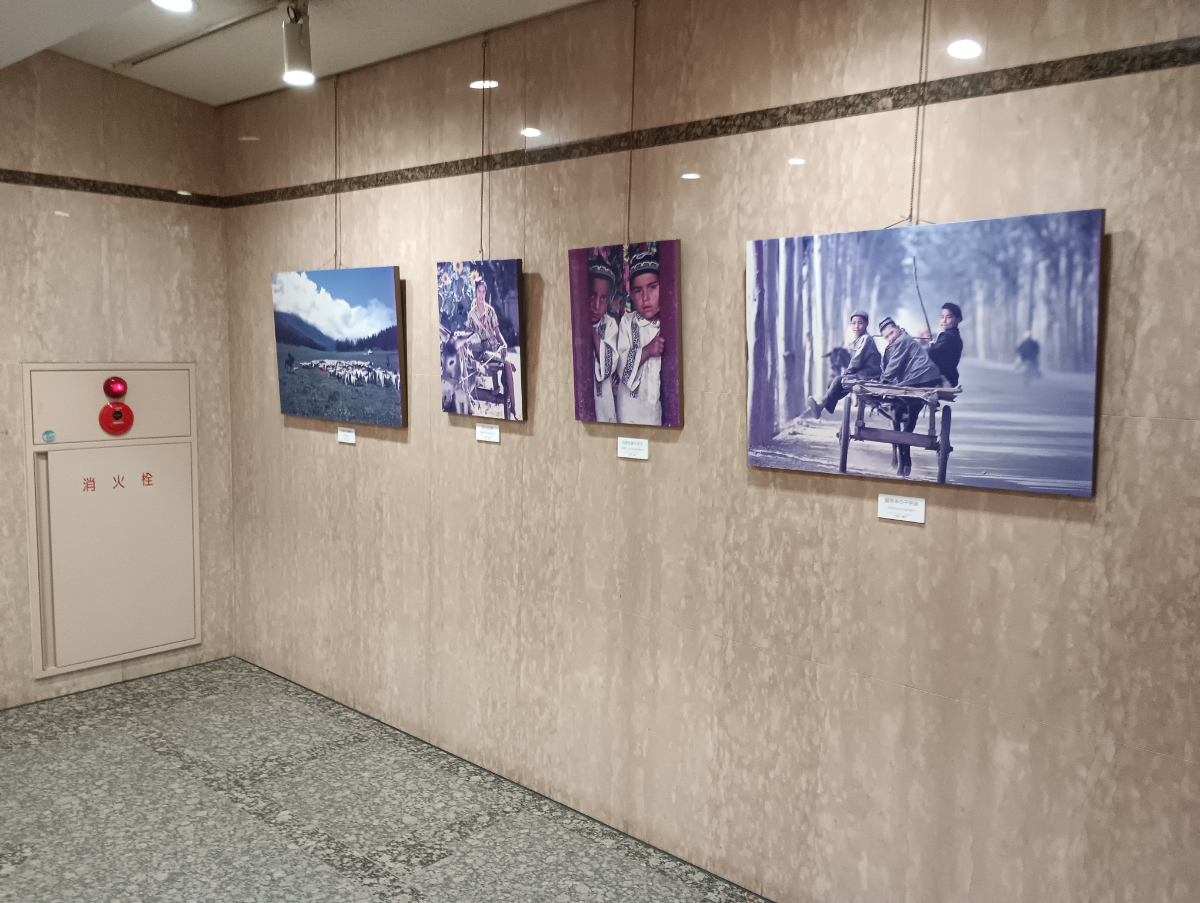 fresh/building/J00100379098_6