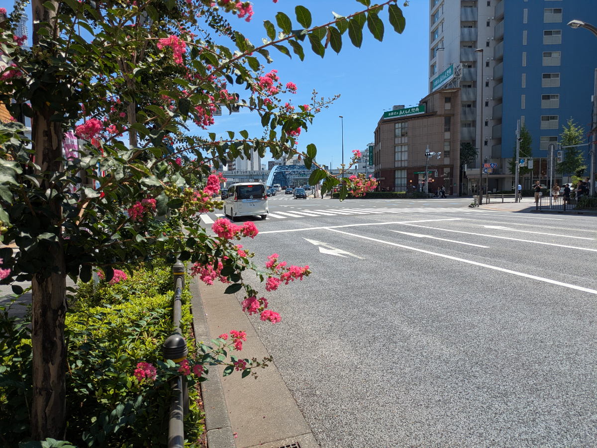 fresh/building/J00100379126_2