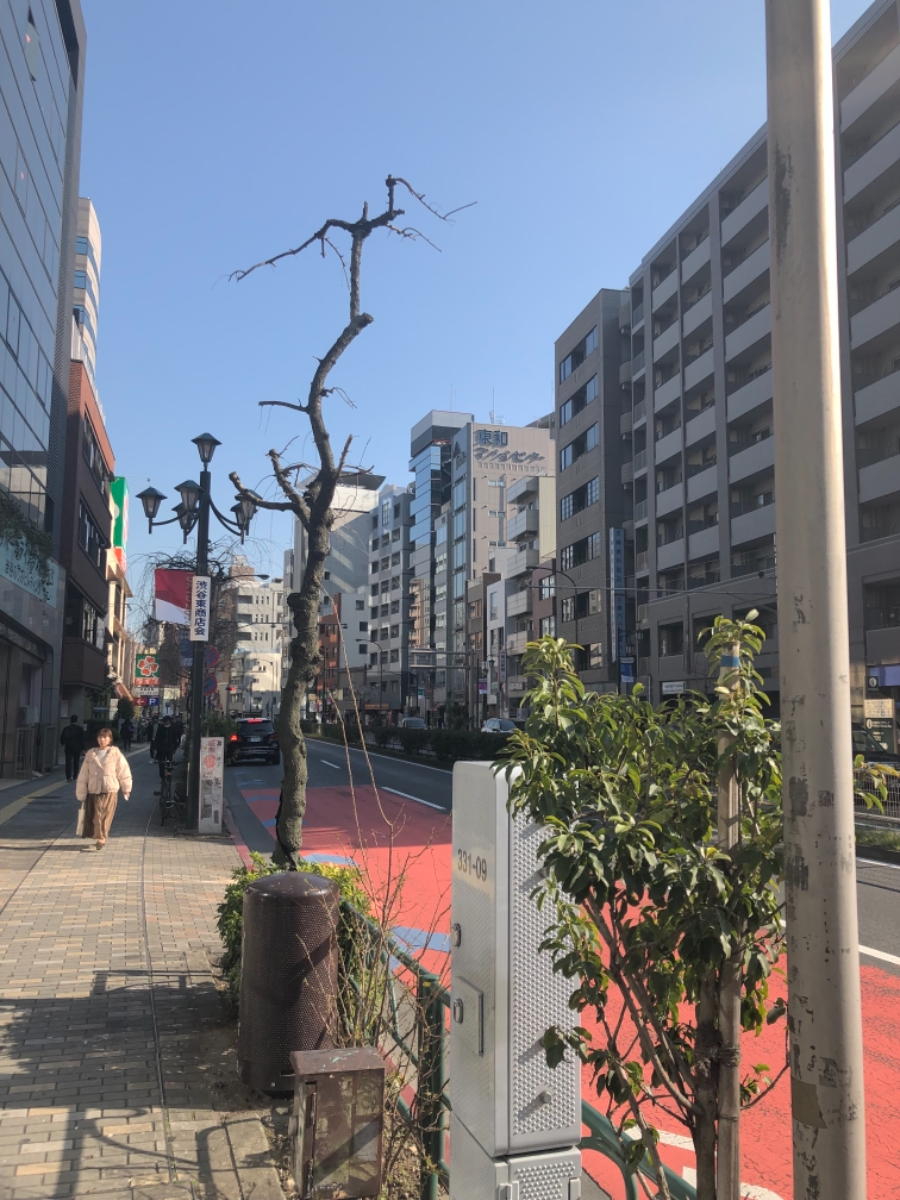 fresh/building/J00100379602_2