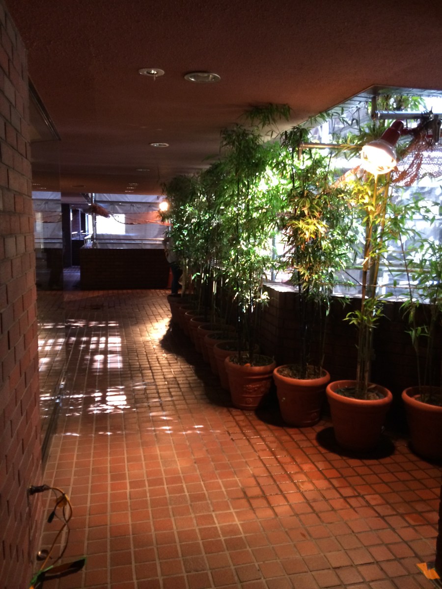 fresh/building/J00100379618_15