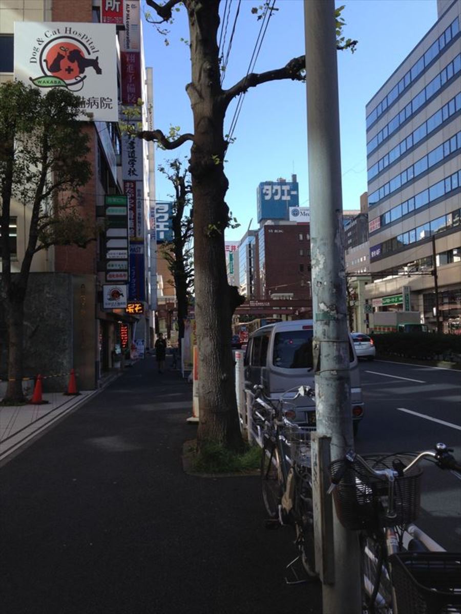 fresh/building/J00100379807_2