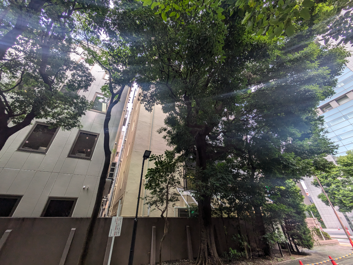 fresh/building/J00100380004_11