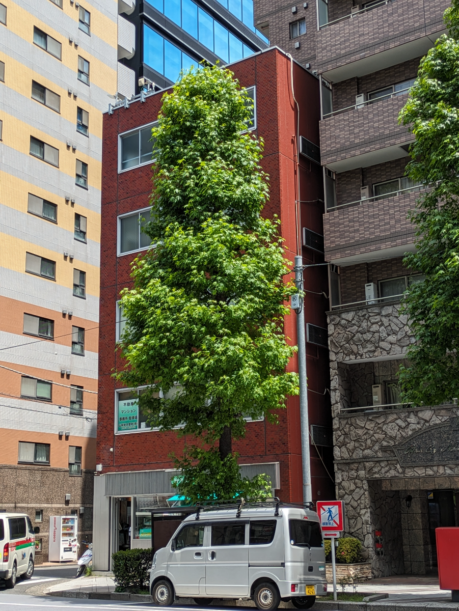fresh/building/J00100380248_5