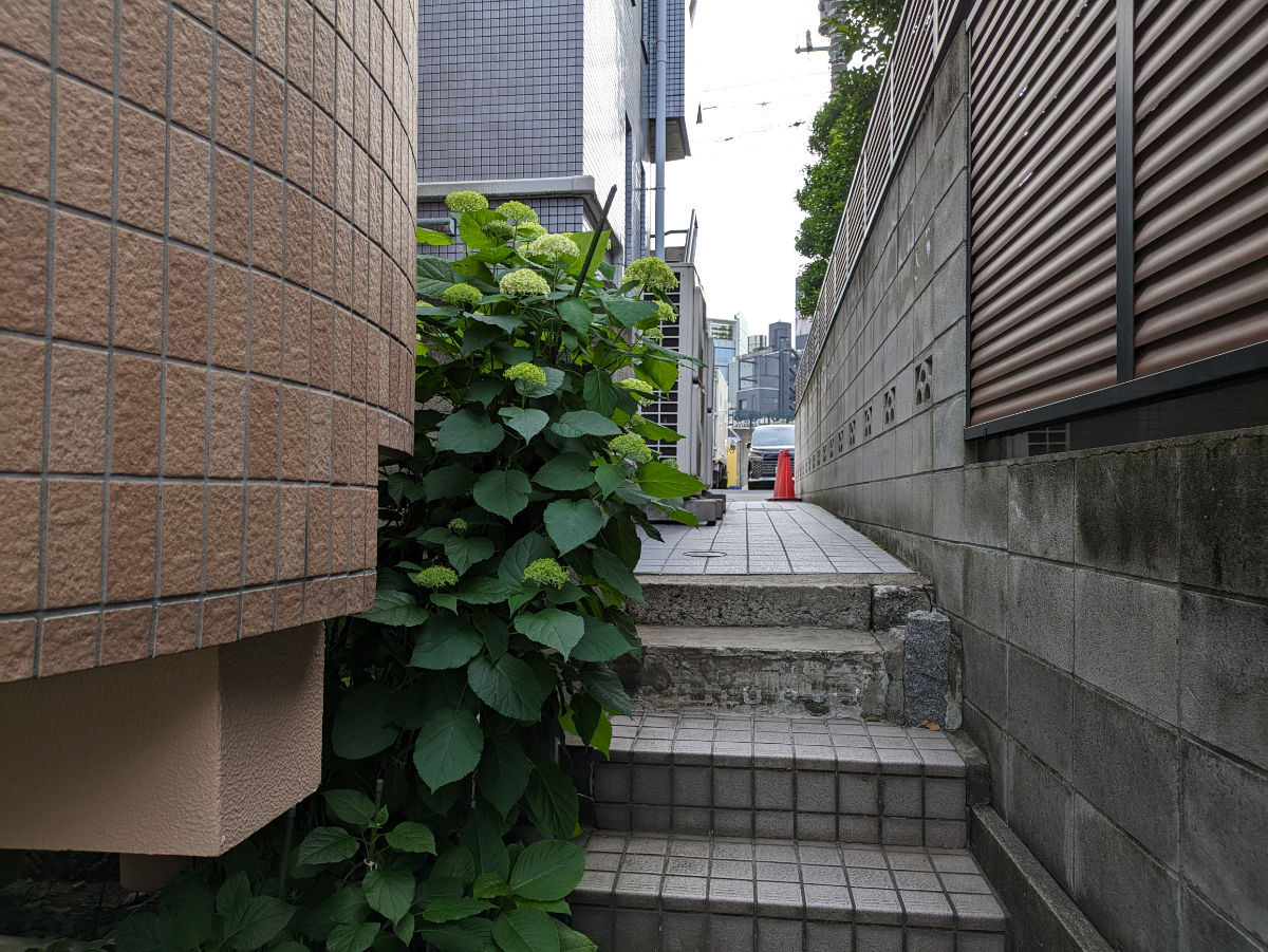 fresh/building/J00100380420_10