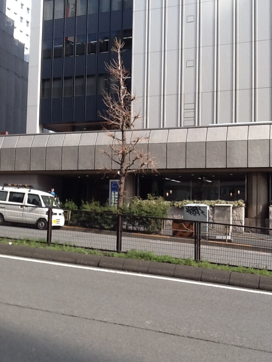 fresh/building/J00100380728_13