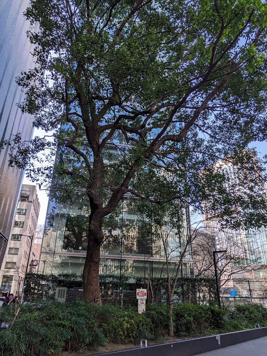 fresh/building/J00100381082_17