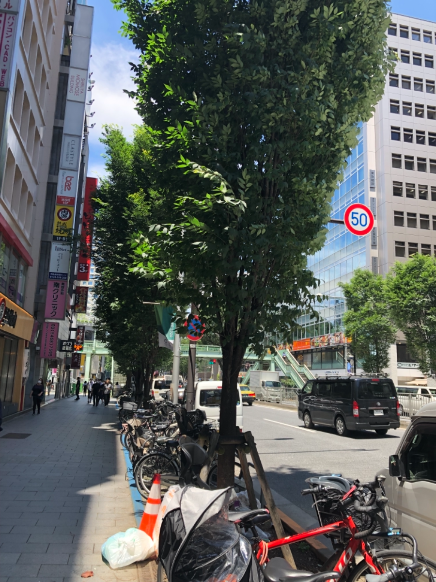 fresh/building/J00100381381_8