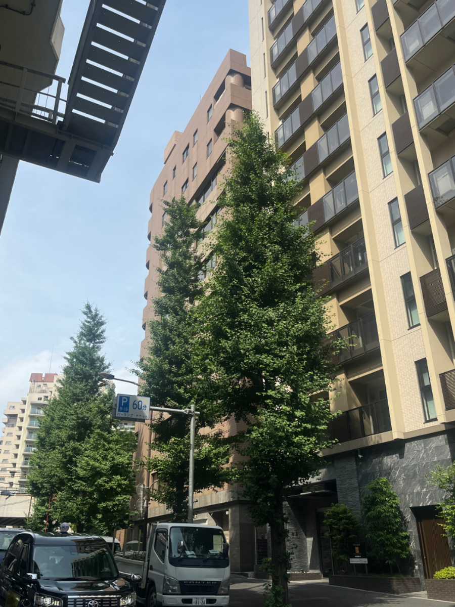 fresh/building/J00100382345_17