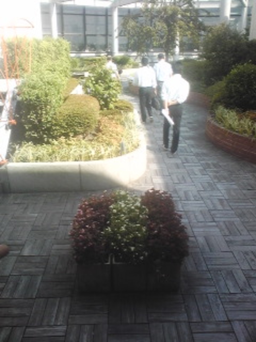 fresh/building/J00100382354_9