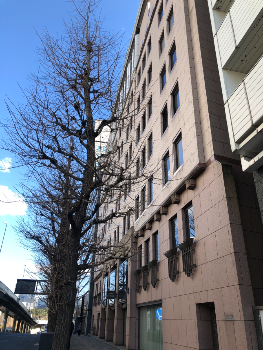 fresh/building/J00100382588_7