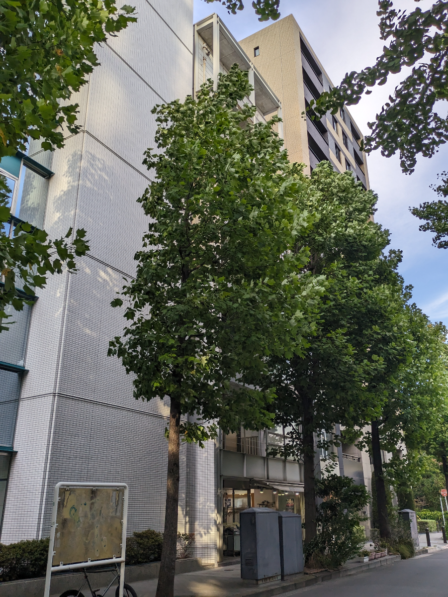 fresh/building/J00100383345_5