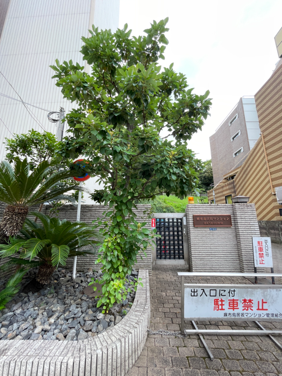 fresh/building/J00100383561_6