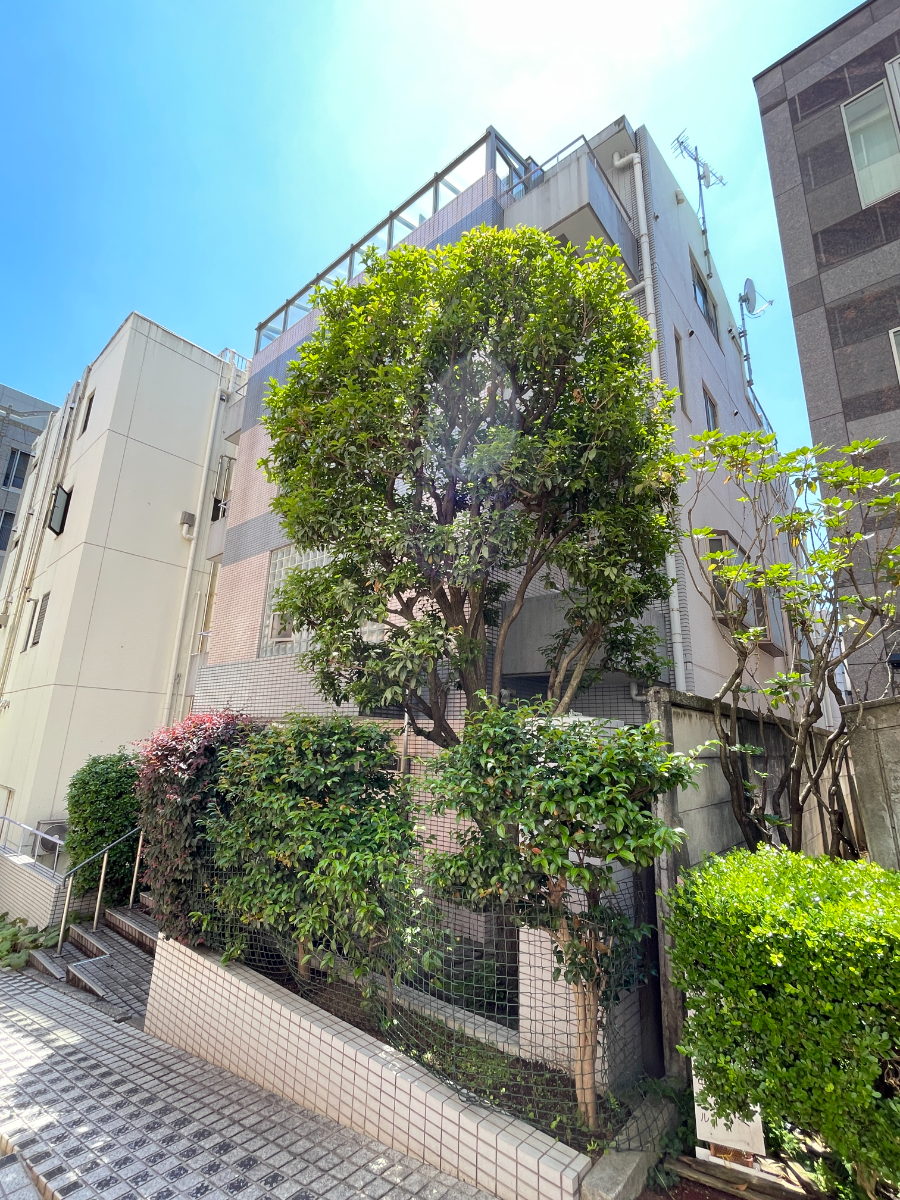 fresh/building/J00100384072_7