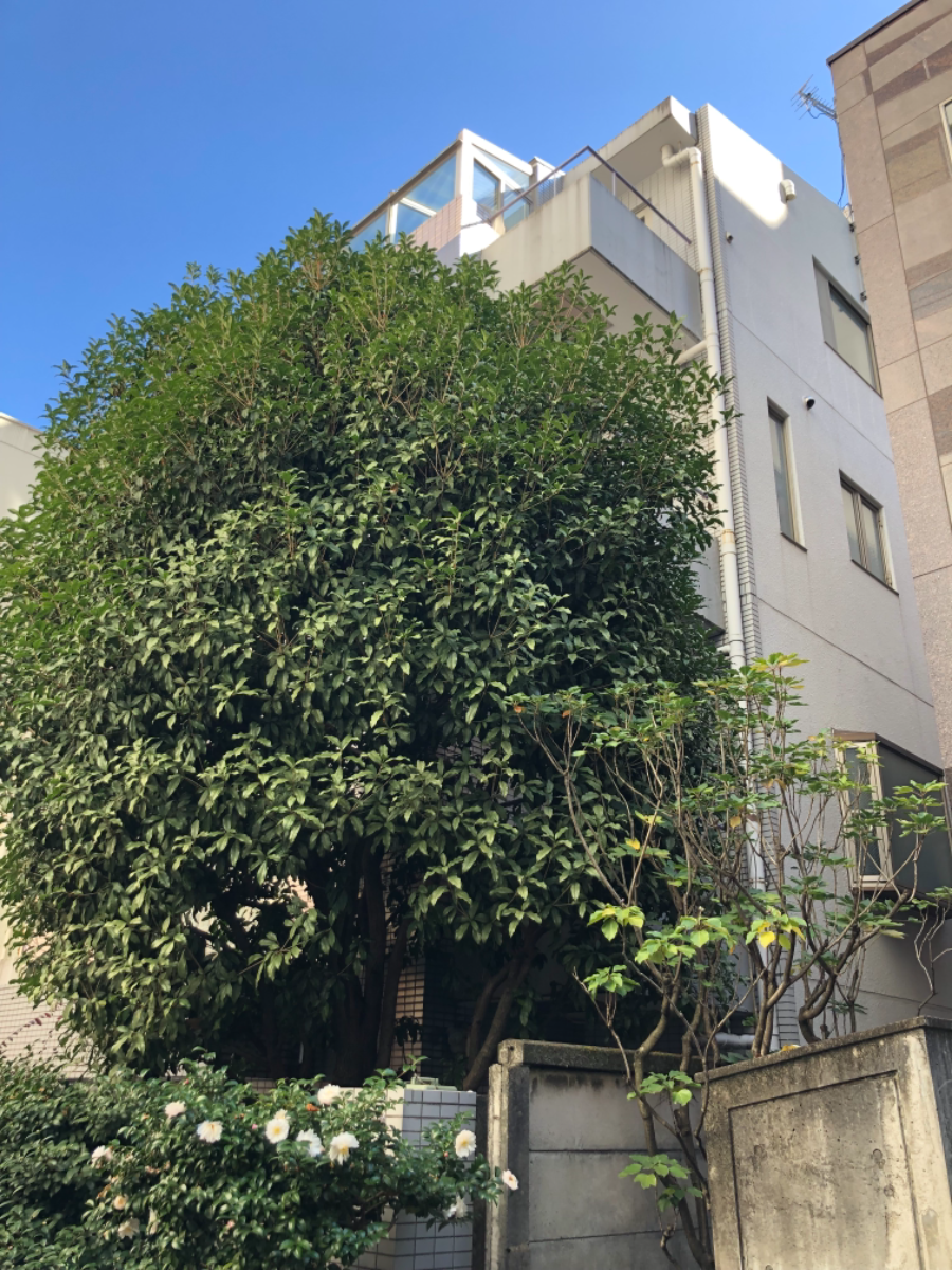 fresh/building/J00100384072_9