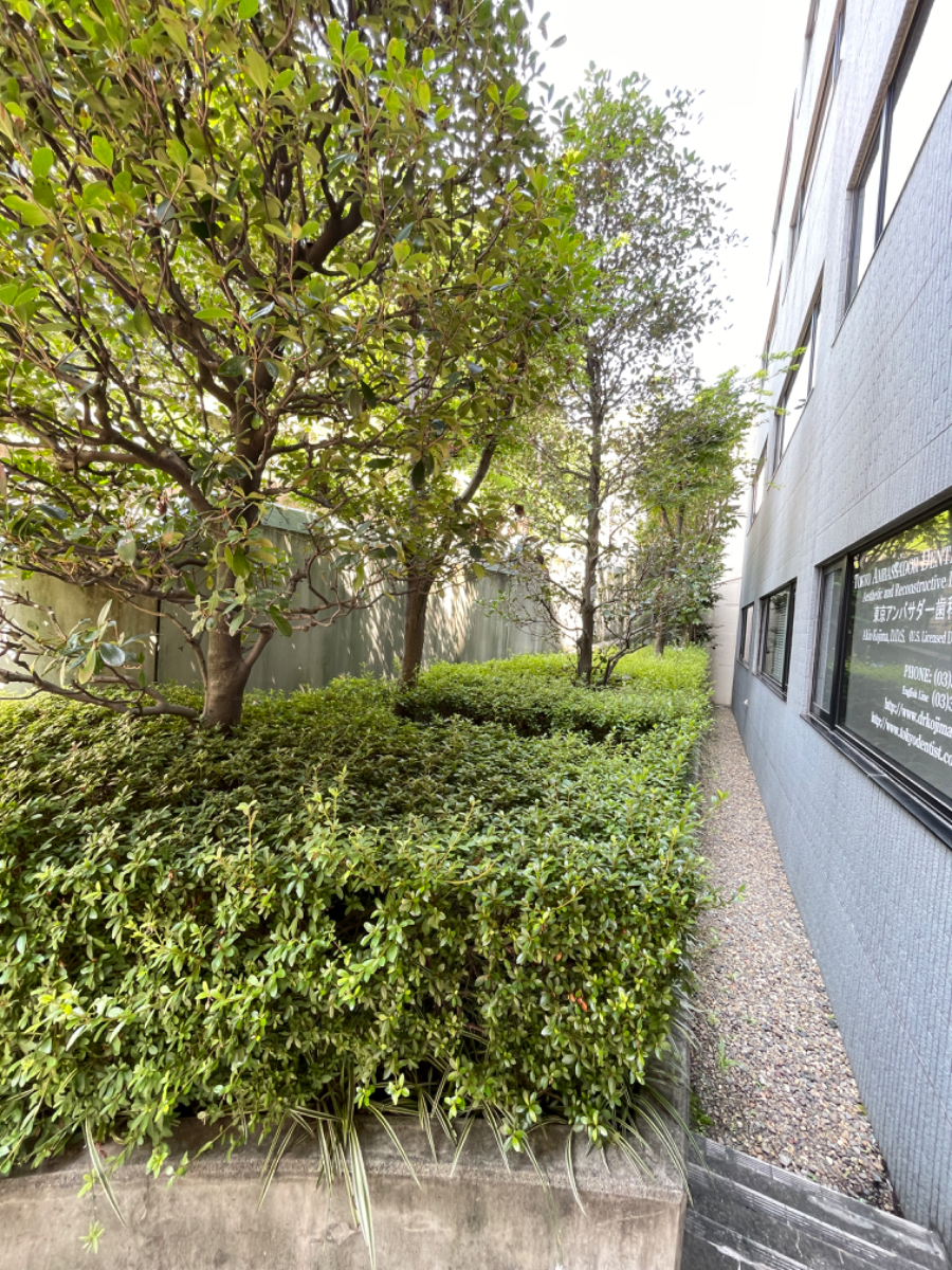 fresh/building/J00100384314_19