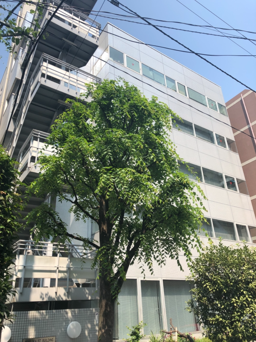 fresh/building/J00100384329_5