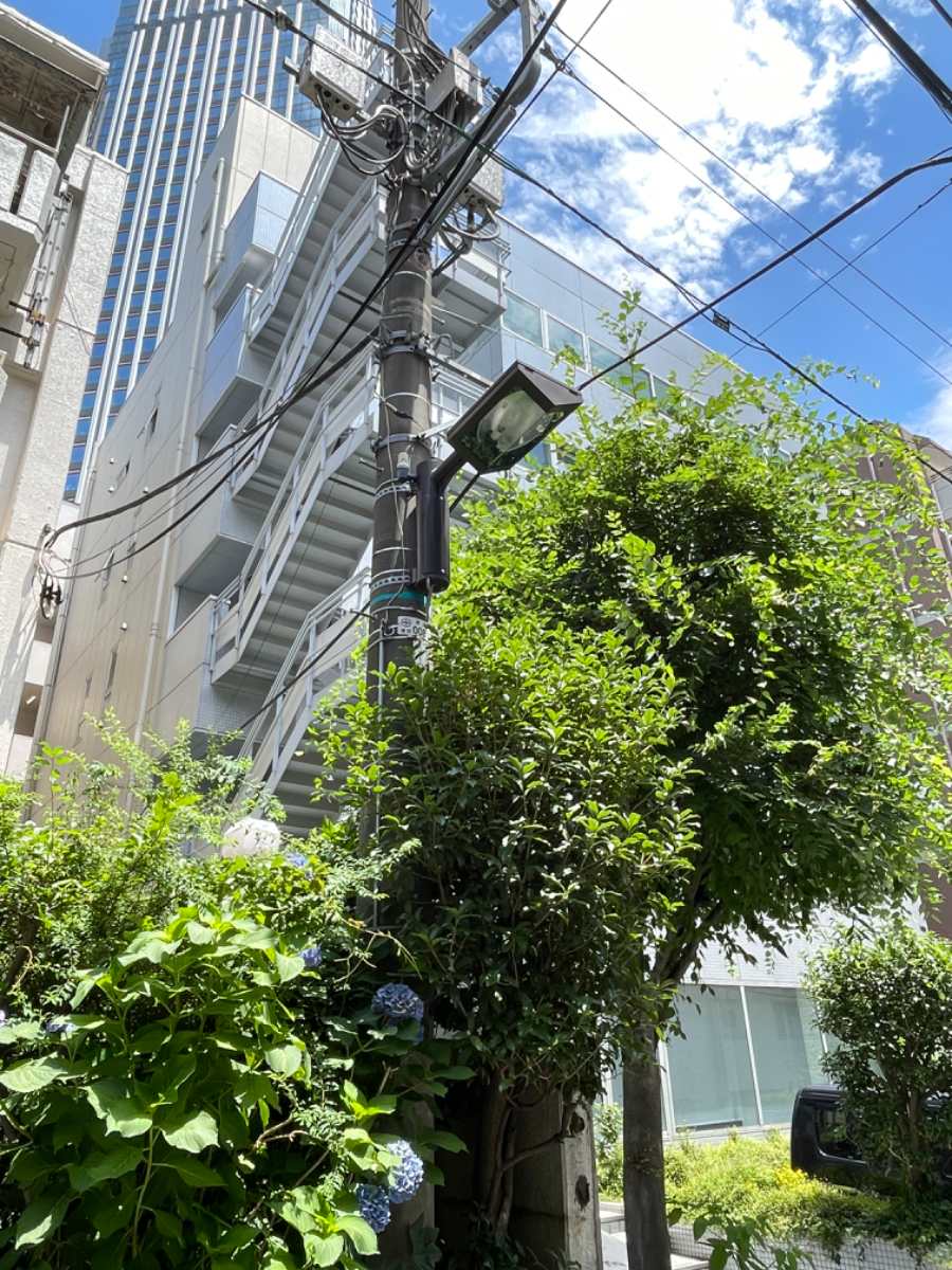 fresh/building/J00100384329_6