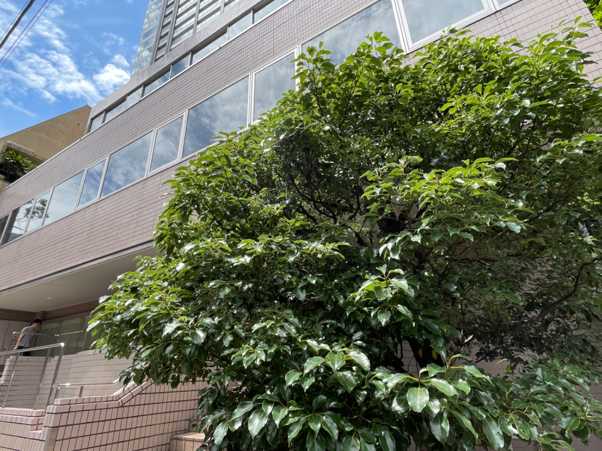 fresh/building/J00100384339_12