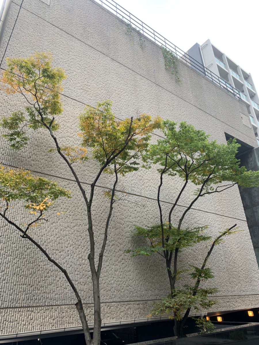 fresh/building/J00100384343_5