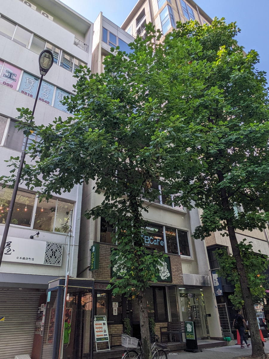 fresh/building/J00100384369_5