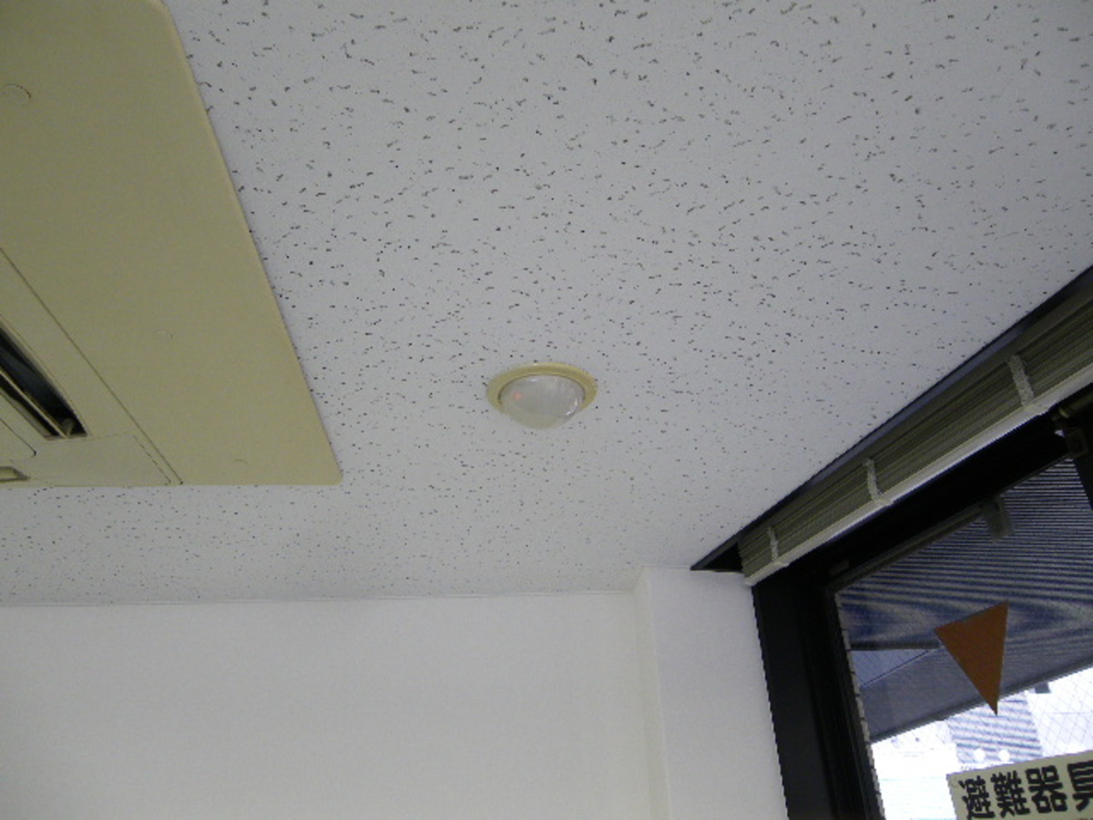 fresh/building/J00100384382_13