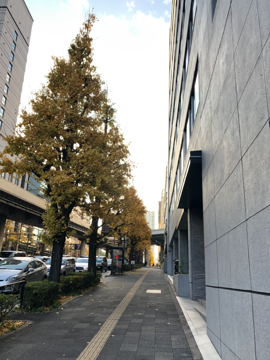 fresh/building/J00100384410_8