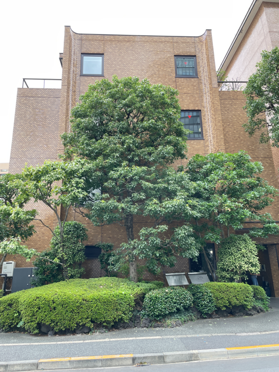 fresh/building/J00100384534_6