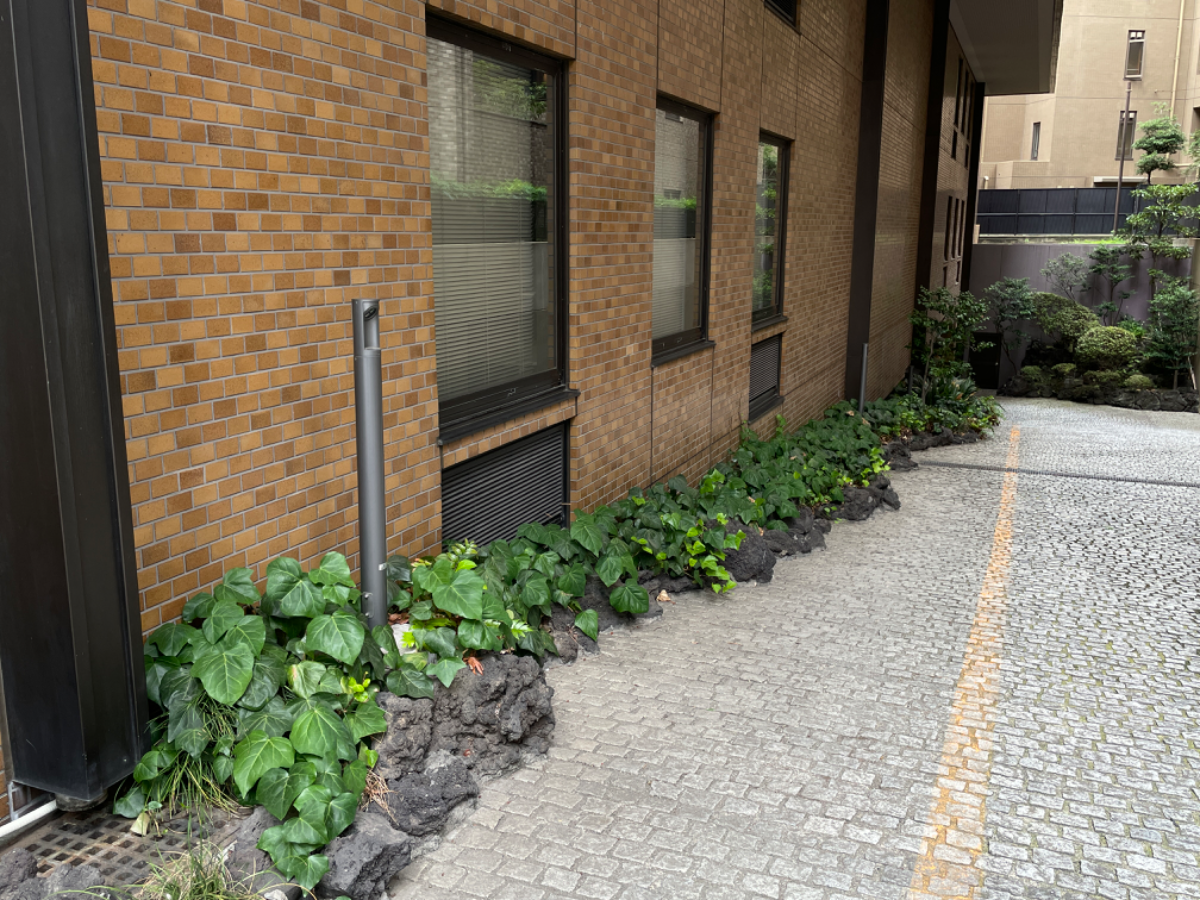 fresh/building/J00100384535_65